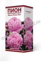 Пион молочноцветковый Месье Жюль Эли