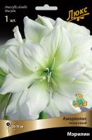 Амариллис махровый Мэрилин (24/26) 1 шт 