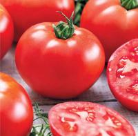 Томат Волгоградский 5/95 0,5г