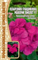 Пеларгония грандифлора Маверик ВиолетF1 3шт