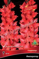 Гладиолус Крупноцветковые "Российская селекция" Император (10/12) 5 шт 791174