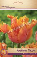 Тюльпан Попугайный Амейзинг Пэррот (11/12) 10 шт