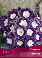 Глоксиния Голливуд 4/5 (2 шт)