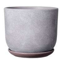 Замша сиреневый бук №2 1,6л