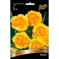 Нарцисс Крупнокорончатый Берлин (3шт, 14/16) 833045