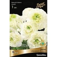 Лютик гибридный Романс Гренобль /К 839684
