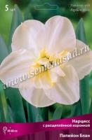 Нарцисс с Расщеплённой коронкой Папийон Блан (5шт, 12/14) 756214