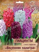 Гиацинты "Весенняя палитра" смесь окрасок 10шт, 14/15