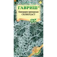 Гавриш Цинерария серебристая Силвердаст 15шт 