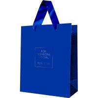 Пакет подарочный 18*23*10см "Классика. Синий" ламинированный MESHU/MS_52119/Рельеф
