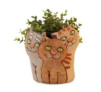 Котята милые 118-198