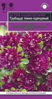 Астра Трубадур темно-пурпурный, однолетняя 0,05 г 