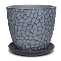 Манго серый бутон №3 2,3л