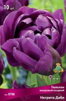 Тюльпан Махровый поздний Негрита Дабл (11/12) 10 шт