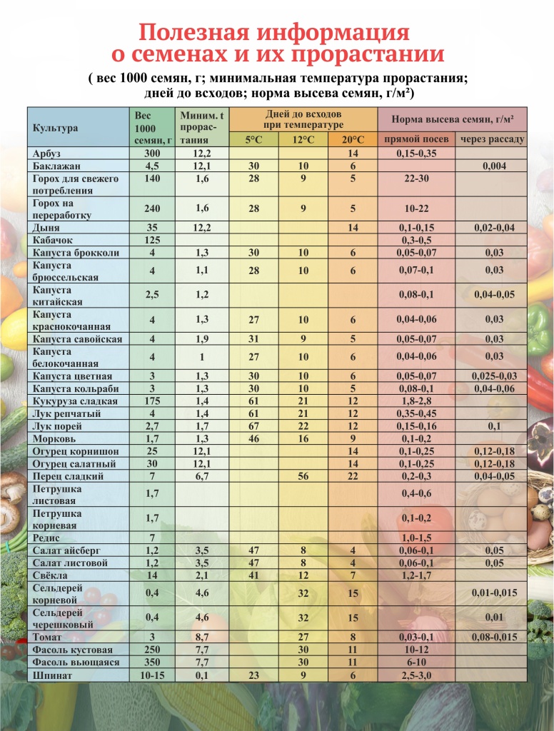 Полезная-информация-о-семенах-cfqn.jpg