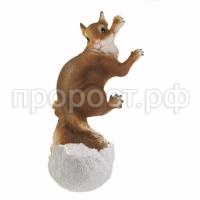 Ежи, белки, зайцы_html_36f47aea10c4e6cc Ежи, белки, зайцы_html_36f47aea10c4e6cc