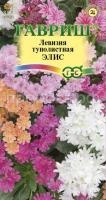 Левизия туполистная Элис 5 шт