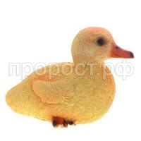 утенок сидит