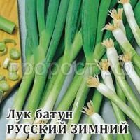 Лук Батун Русский Зимний 10 г