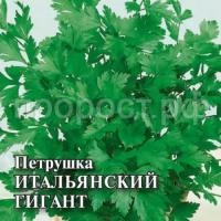 Петрушка Итальянский гигант 100г Петрушка Итальянский гигант 100г