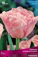 Тюльпан Махровый поздний Анжелика (розовый с белой каймой, 10шт, 11-12) 540311