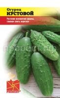 Пророст ЕП Огурец Кустовой