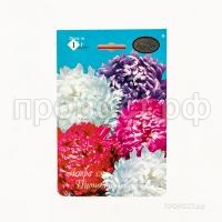 Астра смесь Пионовидных Махаон 201 Каприс