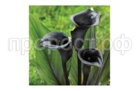 8e4c49b9-4351-11ea-ab68-ac1f6b023b85 8e4c49b9-4351-11ea-ab68-ac1f6b023b85