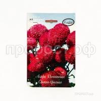 Астра Помпонная светло-красная Совершенство 200,5 Каприс