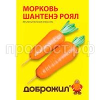 морковь шантенэ роял