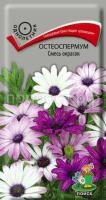 Остеоспермум Смесь окрасок