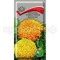 С171179_0 С171179_0