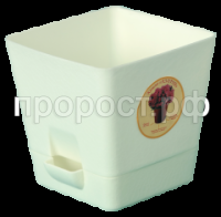 f50e59ae0d59bc6067d6aa6acfc6f574 f50e59ae0d59bc6067d6aa6acfc6f574