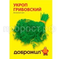 укроп грибовский