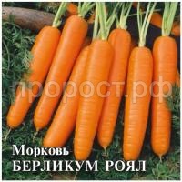 Морковь Берликум Роял 25 г Морковь Берликум Роял 25 г