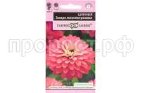 Без названия (1) Без названия (1)