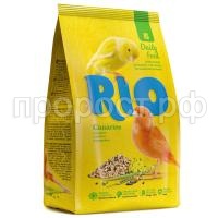RIO_canary_pachka_r