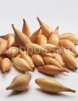 Без названия (17) Без названия (17)