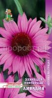 Эхинацея Пурпурная Ливадия 20шт Поиск Эхинацея Пурпурная Ливадия 20шт Поиск