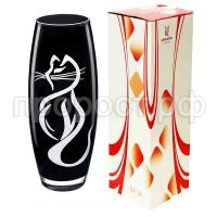 кошка кошка