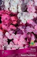 Флокс метельчатый Фрекл Ред Шейдз Флокс метельчатый Фрекл Ред Шейдз