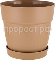 6600 мол.шоколад