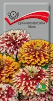 Цинния Мексика Табаско