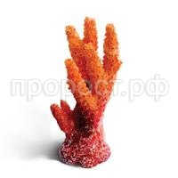 5bebc9e662825914568485 5bebc9e662825914568485