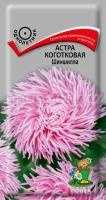 Астра коготковая Шиншилла Астра коготковая Шиншилла