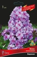 Флокс метельчатый Виринея Флокс метельчатый Виринея