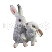 пара зайчиков бел