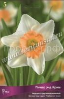 Нарцисс Пичес энд Крим Нарцисс Пичес энд Крим