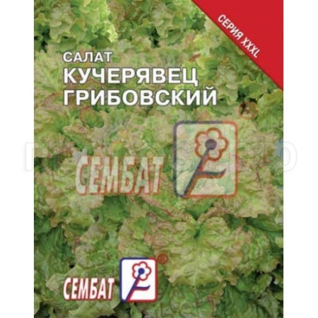 Сембат Салат Кучерявец грибовский 5г XXXL