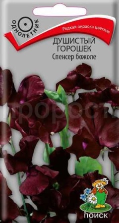 Душистый горошек Спенсер божоле 1г